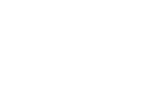 02 Graphic