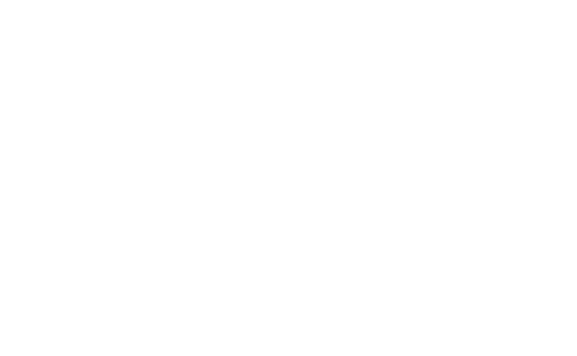 03 Graphic